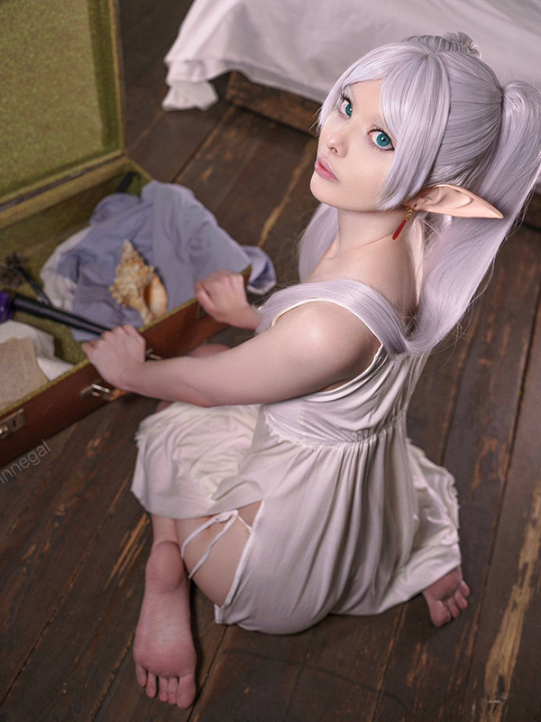Alina-Becker--Vinnegal-Fern--Frieren-Sousou-no-Frieren-PixiBB